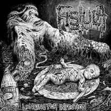 Fistula: Longing For Infection 12"