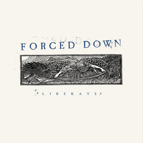 Forced Down: Liberate 12