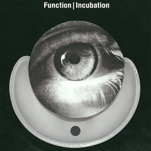 Function: Incubation 12