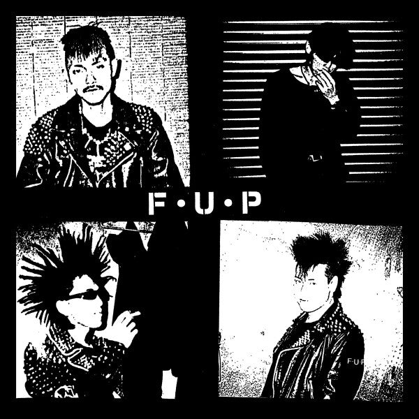 F.U.P.: Noise And Chaos 12