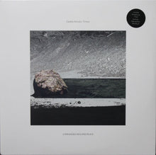 Gastón Arévalo: Terrain 2x12"