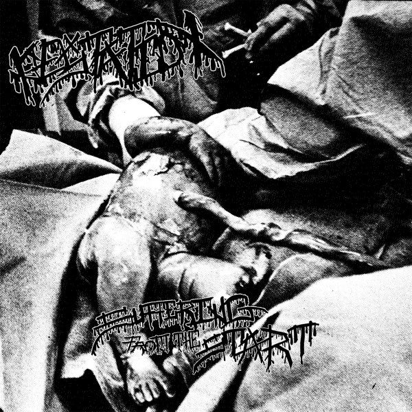 Gestation: Suffering From The Start CD