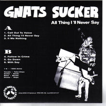 Gnats Sucker: All Thing I'll Never Say 7"