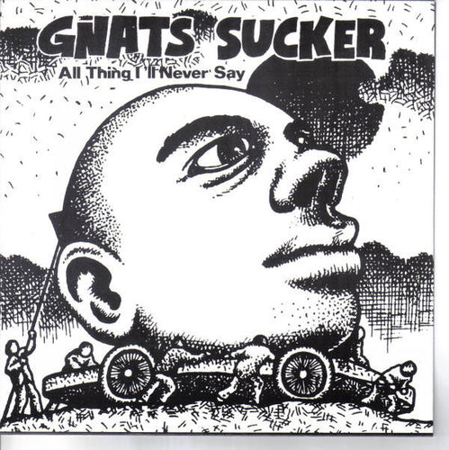 Gnats Sucker: All Thing I'll Never Say 7