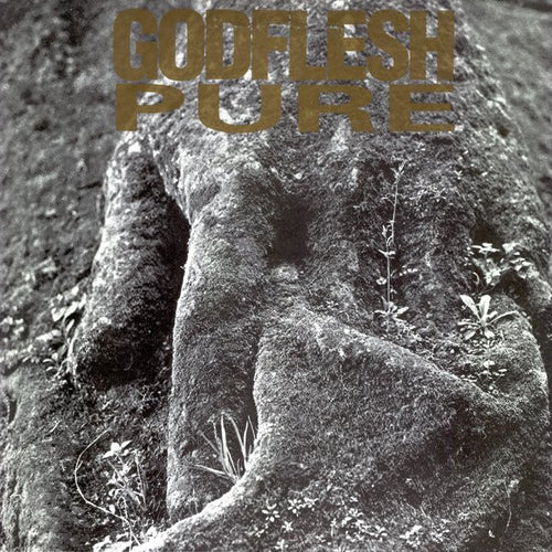 Godflesh: Pure 12
