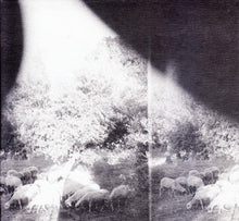 Godspeed You Black Emperor!: Asunder, Sweet And Other Distress CD
