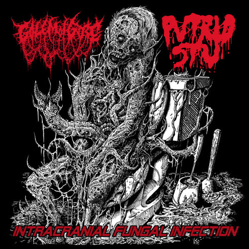 Golem Of Gore / Putrid Stu: Intracranial Fungal Infection CD