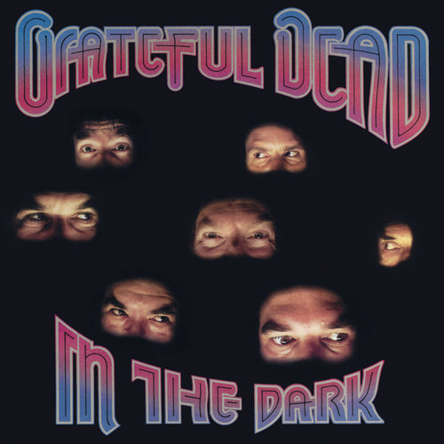 Grateful Dead: In The Dark 12