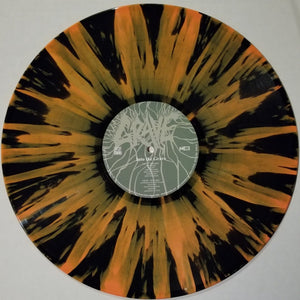 Grave: Into The Grave 12"