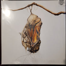 Grayceon: Mothers Weavers Vultures 12"