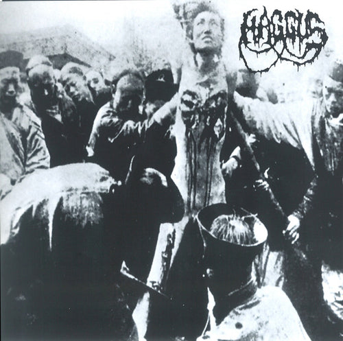 Haggus / Archagathus: Split 7
