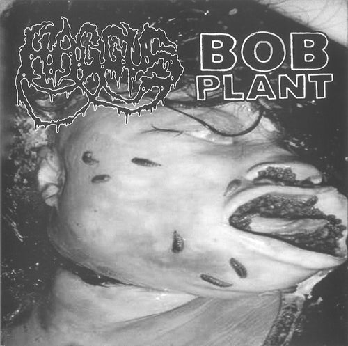 Haggus / Bob Plant: Split 7