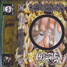Haggus / Cystoblastosis: Split cassette