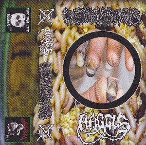 Haggus / Cystoblastosis: Split cassette