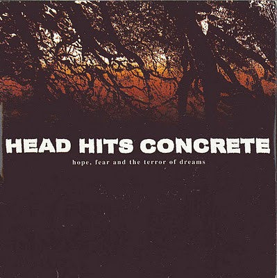 Head Hits Concrete: Hope, Fear And The Terror Of Dreams 7