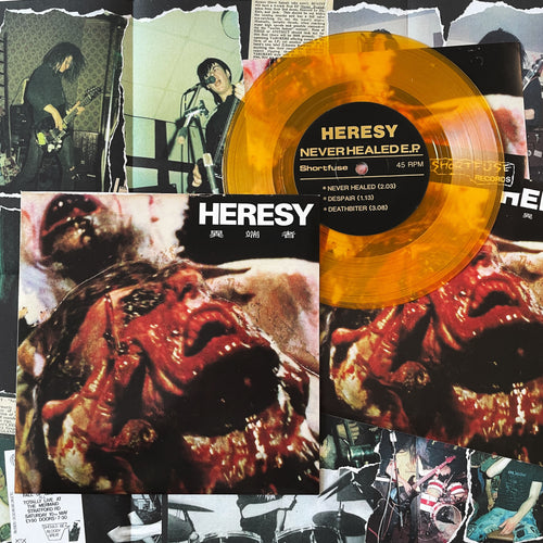 Heresy: Never Healed 7