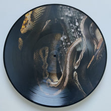 Hexis: Aeternum 12"