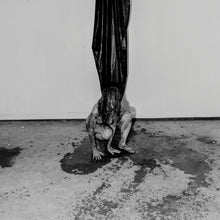 HIDE: Interior Terror 12"