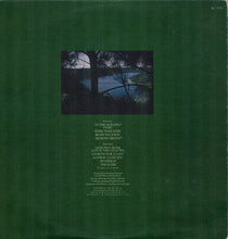 Dan Fogelberg: Home Free 12"