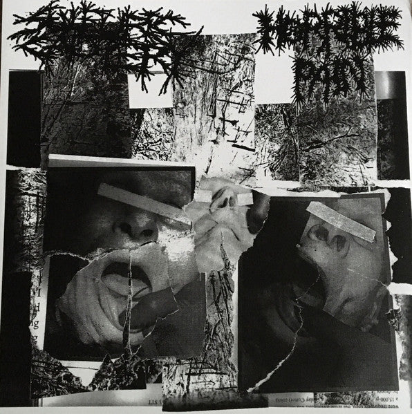 Horrible Pain / Sulfuric Cautery: split 12