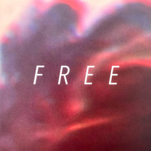 Hundredth: Free 12"