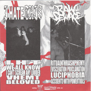 I Hate This / Raw Sewage: Split 7"