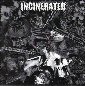 Incinerated / Deterioration: Split 7"