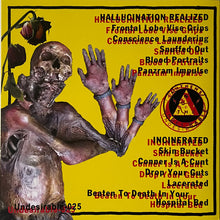 Incinerated/Hallucination Realized: Split EP 7"