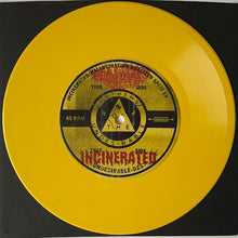 Incinerated/Hallucination Realized: Split EP 7"