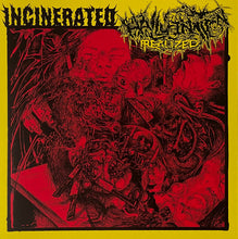 Incinerated/Hallucination Realized: Split EP 7"