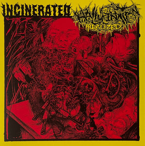 Incinerated/Hallucination Realized: Split EP 7"