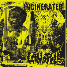 Incinerated / Landfill: Split 7"
