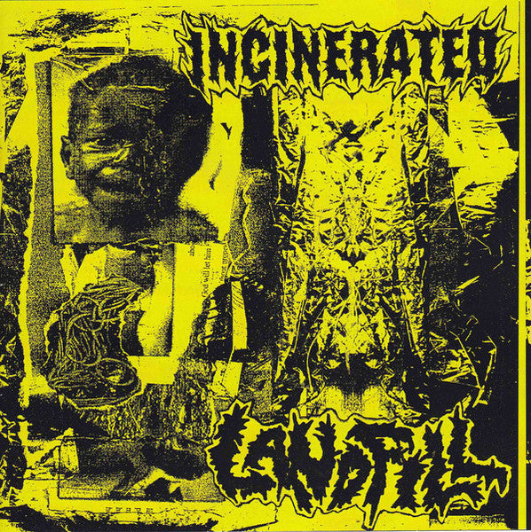 Incinerated / Landfill: Split 7