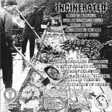 Incinerated / Sulfuric Cautery: Split 7"