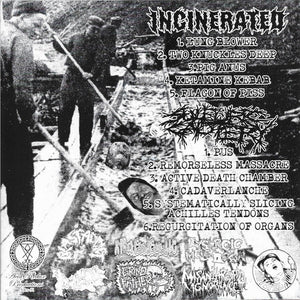 Incinerated / Sulfuric Cautery: Split 7"
