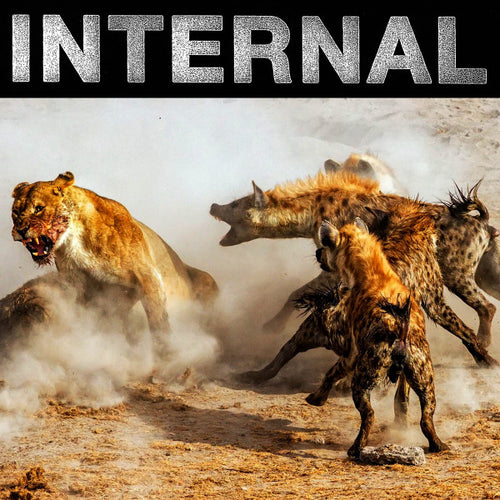 Internal: Primal State 7