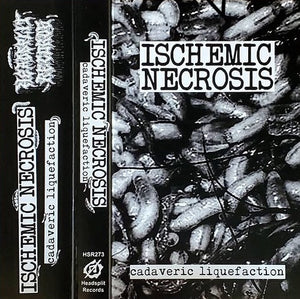 Ischemic Necrosis: Cadaveric Liquefaction cassette