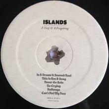 Islands: A Sleep & A Forgetting 12"