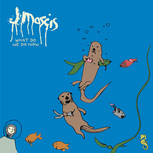 J Mascis: What Do We Do Now 12