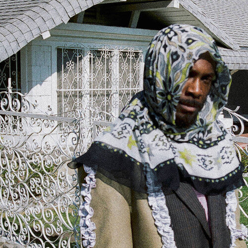 Jpegmafia: All My Heroes Are Cornballs 12