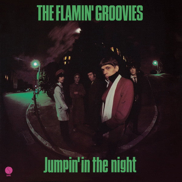 Flamin' Groovies: Jumpin' In The Night 12
