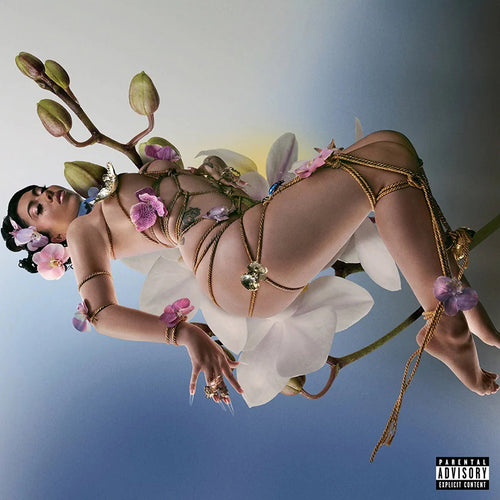 Kali Uchis: Orquideas 12