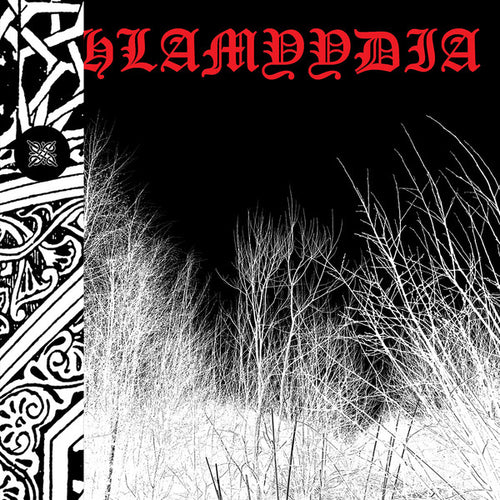Khlamyydia: S/T 12