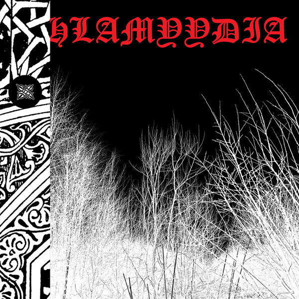 Khlamyydia: S/T 12
