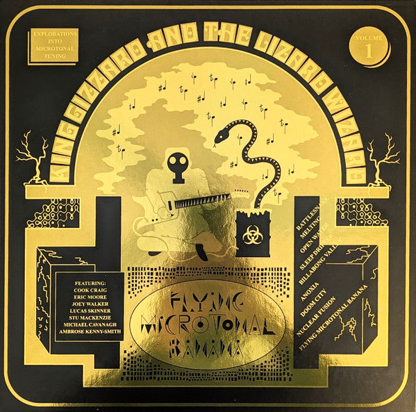 King Gizzard And The Lizard Wizard: Flying Microtonal Banana 12