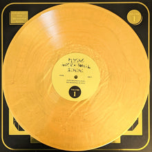 King Gizzard And The Lizard Wizard: Flying Microtonal Banana 12"