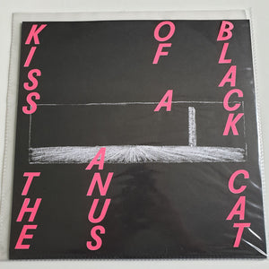 Kiss The Anus Of A Black Cat: If The Sky Falls, We Shall Catch Larks 12"