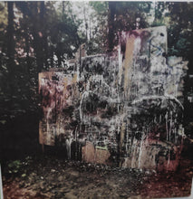 La Dispute: Wildlife 12"
