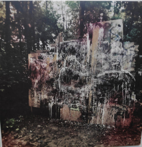 La Dispute: Wildlife 12