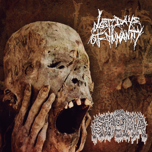 Last Days Of Humanity / Stoma: Split CD